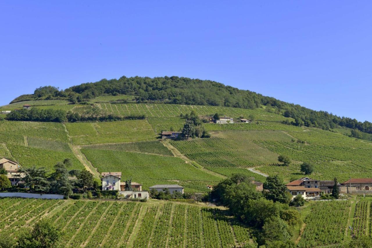 Appartement Cosy Au Coeur Du Beaujolais Saint-Lager 외부 사진