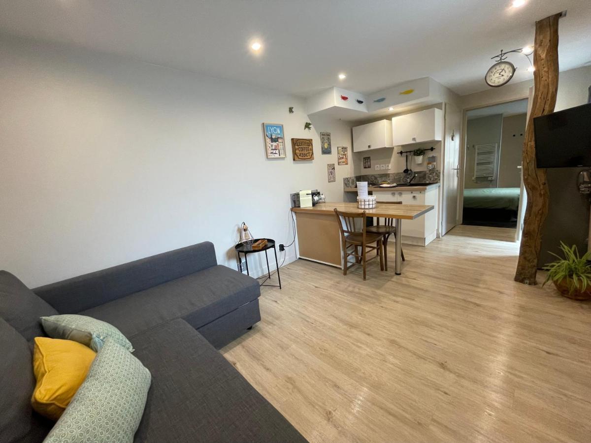 Appartement Cosy Au Coeur Du Beaujolais Saint-Lager 외부 사진
